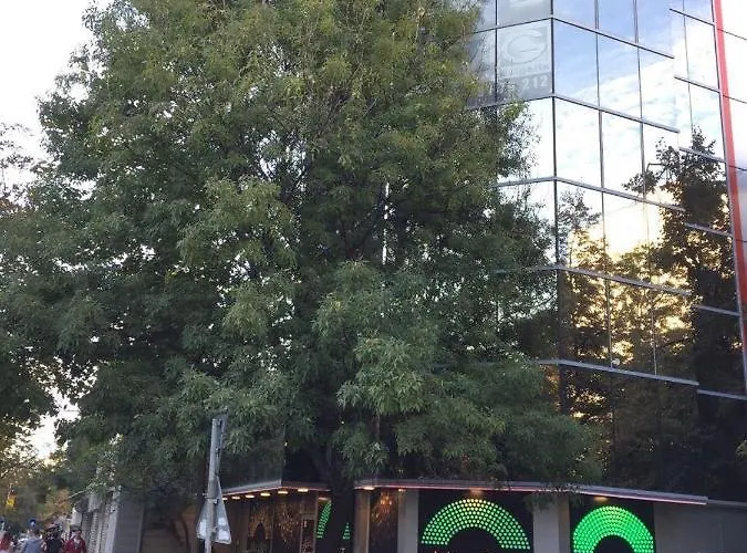 Lilia 5 Self-check In דירה סופיה