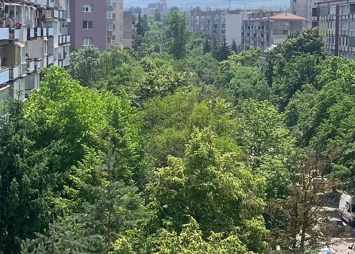 Lilia 5 Self-check In *