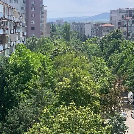 Lilia 5 Self-check In *